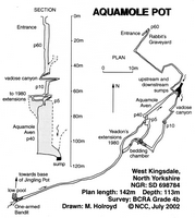 Descent 168 Aquamole Pot